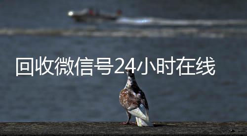 回收微信号24小vx回收时在线秒结（回收微信号网站）